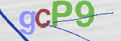 CAPTCHA 驗證圖片