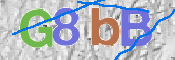 CAPTCHA 驗證圖片