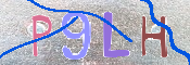 CAPTCHA 驗證圖片