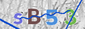 CAPTCHA 驗證圖片
