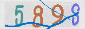 CAPTCHA 驗證圖片