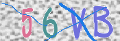 CAPTCHA 驗證圖片