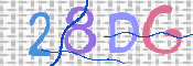 CAPTCHA 驗證圖片