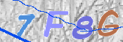 CAPTCHA 驗證圖片