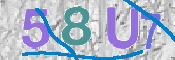 CAPTCHA 驗證圖片