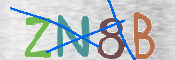 CAPTCHA 驗證圖片