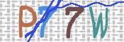CAPTCHA 驗證圖片