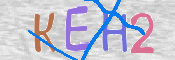 CAPTCHA 驗證圖片