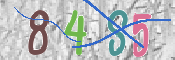 CAPTCHA 驗證圖片