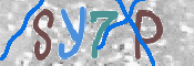 CAPTCHA 驗證圖片