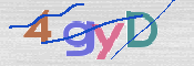 CAPTCHA 驗證圖片