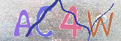CAPTCHA 驗證圖片