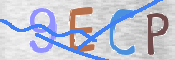 CAPTCHA 驗證圖片