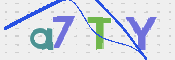CAPTCHA 驗證圖片