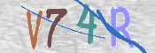CAPTCHA 驗證圖片