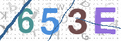 CAPTCHA 驗證圖片