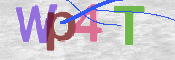 CAPTCHA 驗證圖片