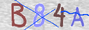 CAPTCHA 驗證圖片