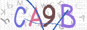 CAPTCHA 驗證圖片