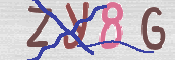 CAPTCHA 驗證圖片
