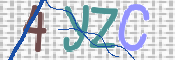 CAPTCHA 驗證圖片
