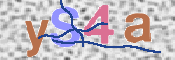 CAPTCHA 驗證圖片