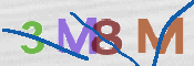 CAPTCHA 驗證圖片