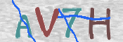 CAPTCHA 驗證圖片