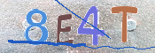 CAPTCHA 驗證圖片
