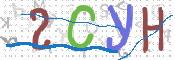 CAPTCHA 驗證圖片