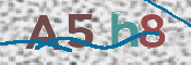 CAPTCHA 驗證圖片