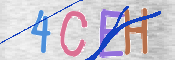 CAPTCHA 驗證圖片
