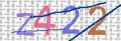 CAPTCHA 驗證圖片