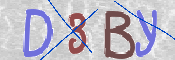 CAPTCHA 驗證圖片
