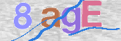 CAPTCHA 驗證圖片