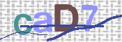 CAPTCHA 驗證圖片