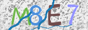CAPTCHA 驗證圖片