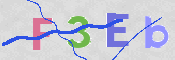 CAPTCHA 驗證圖片