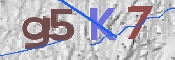 CAPTCHA 驗證圖片