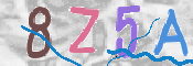 CAPTCHA 驗證圖片