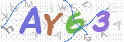 CAPTCHA 驗證圖片
