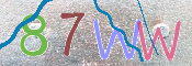 CAPTCHA 驗證圖片