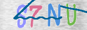 CAPTCHA 驗證圖片