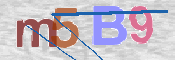 CAPTCHA 驗證圖片