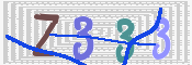 CAPTCHA 驗證圖片