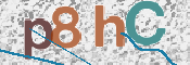 CAPTCHA 驗證圖片