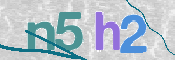 CAPTCHA 驗證圖片