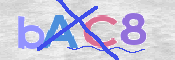 CAPTCHA 驗證圖片