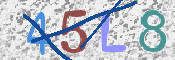 CAPTCHA 驗證圖片