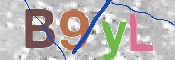 CAPTCHA 驗證圖片